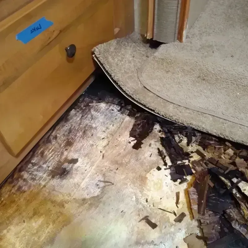 Best Wood Floor Water Damage Service in Oak Ridge, TN